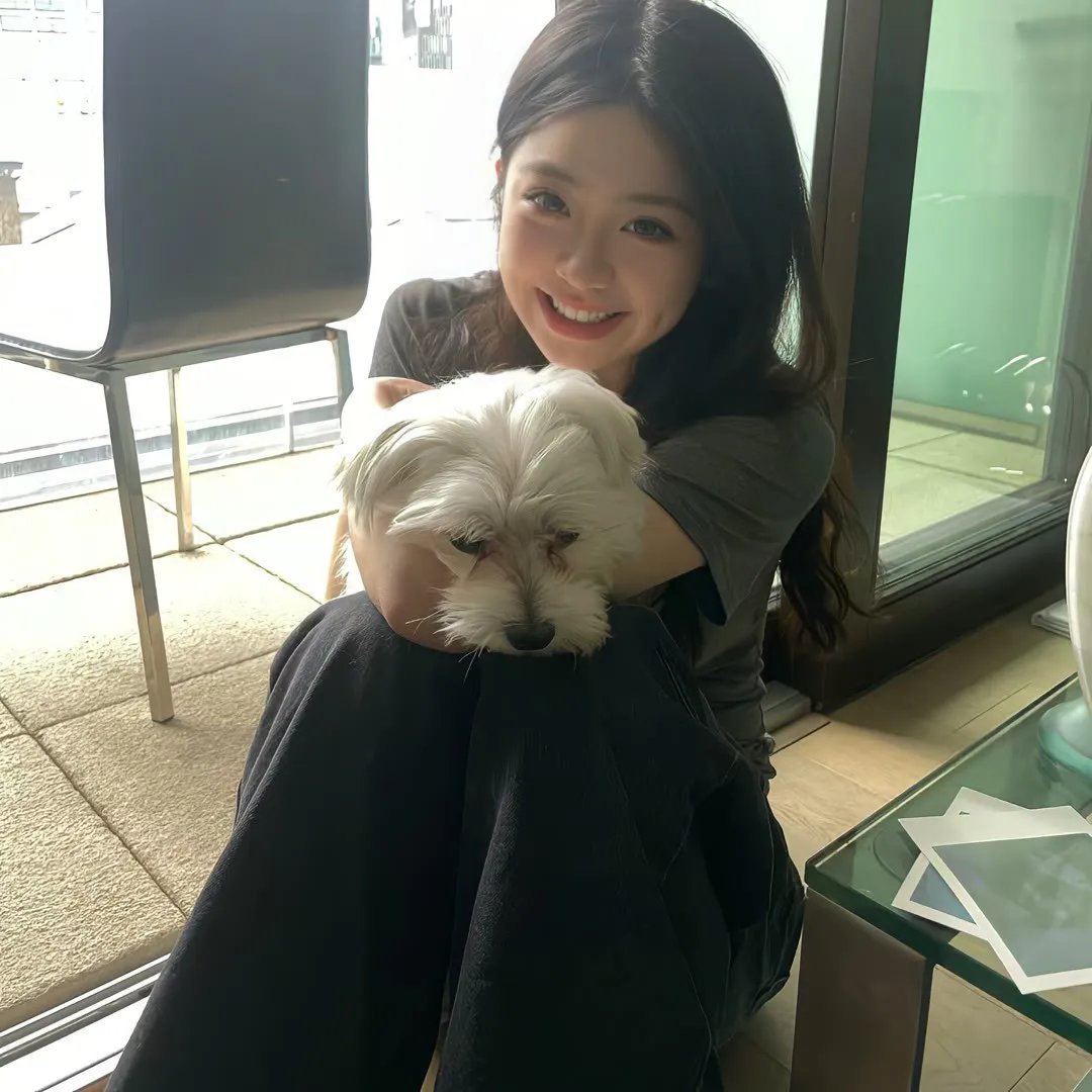 猫的闹剧